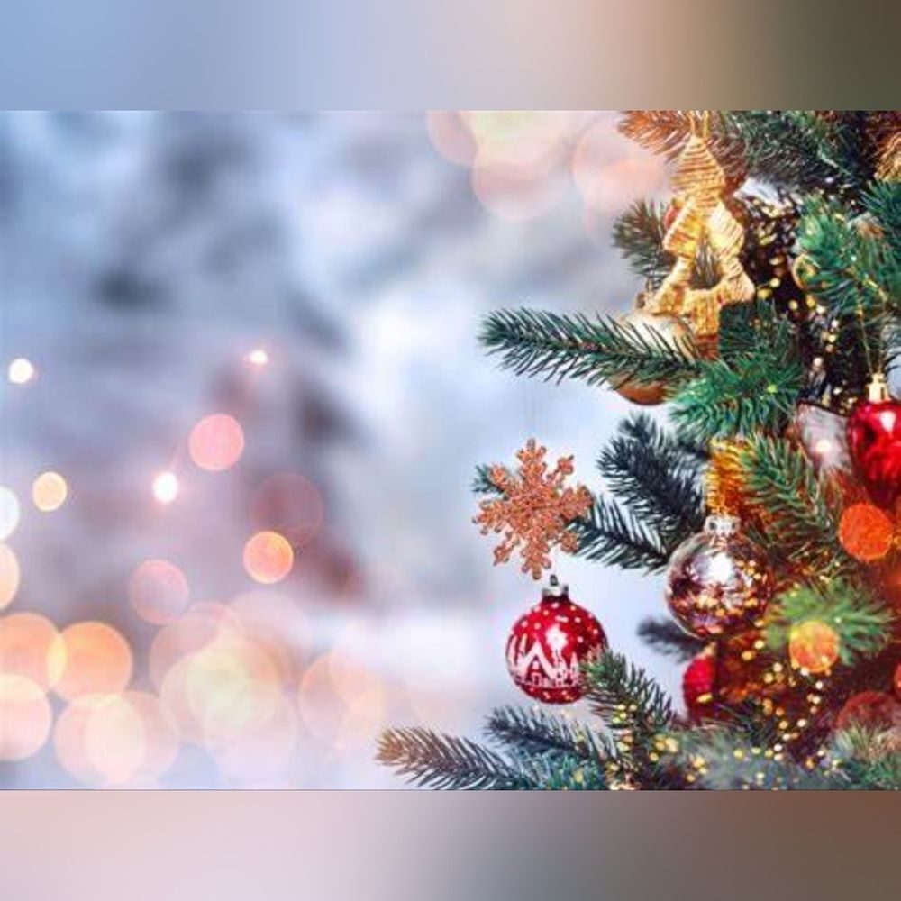 Please Read Please Bundle - Picture 11 of 11